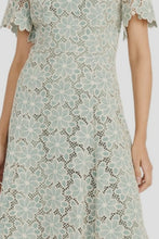 Load image into Gallery viewer, Maggy London Green Cream Day Dress Sizes 4 & 6 Remaining!