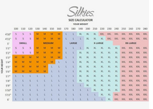 Load image into Gallery viewer, Silkies Control Top Panty Hose, 2 in Pack - USA 🇺🇸