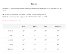 Load image into Gallery viewer, paris bloom noel party dress sm/med