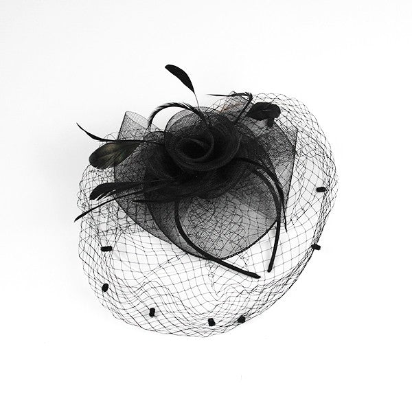 Flower, Feathers, Fascinator w/Netting See Colors!