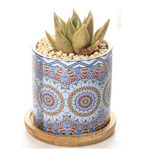 Load image into Gallery viewer, ClaudiaG Collection of Texas, Mandala Planter Set of 4
