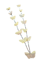 Load image into Gallery viewer, 3D5DEF046B720E9BFBA1E03A16CFFFAA/e70ff04e-996d-41f7-87af-cb2f110f1f2a.jpg
